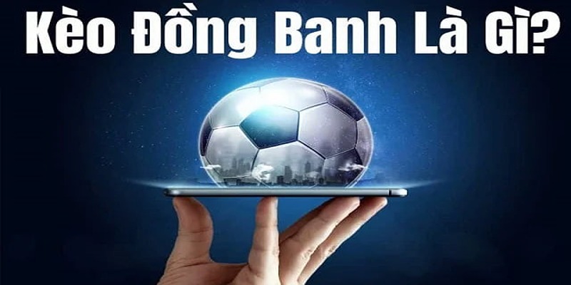 Cược theo thời gian thực là sự lựa chọn lý tưởng